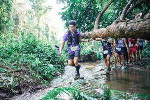 BIB: 
                            <button type="button" onclick="openModal(25466957)" class="btn btn-primary btn-sm float-right btn-popup" data-toggle="modal" data-target=".modal-high-quality">
                        <i class="fas fa-shopping-cart"></i> Add to Cart
                    </button>
                                            <button type="button" onclick="isThisMe(25466957, true)" class="btn btn-success btn-sm float-right btn-popup btn-isme hidden" data-toggle="tooltip" data-placement="bottom" title="นี่คือรูปของคุณใช่ไหม คลิกที่นี่เพื่อเอาเข้าอัลบั้ม">
                        <i class="fas fa-plus"></i> Add to album
                    </button>
                    <button type="button" onclick="isThisMe(25466957, false)" class="btn btn-warning btn-sm float-right btn-popup btn-isnotme hidden">
                        <i class="fas fa-ban"></i> Remove from album
                    </button>